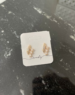 Brinco Cravejado Dourado