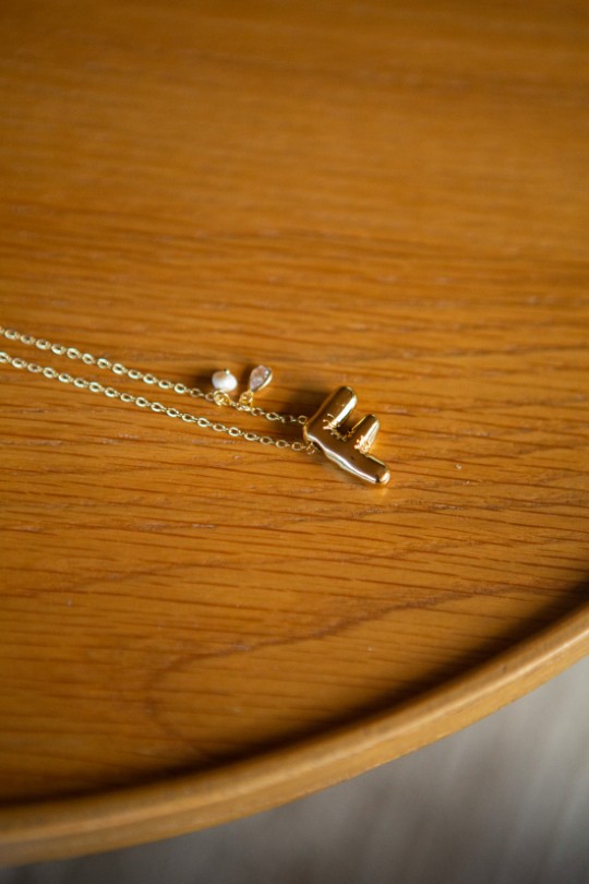 COLAR DOURADO COM A LETRA F